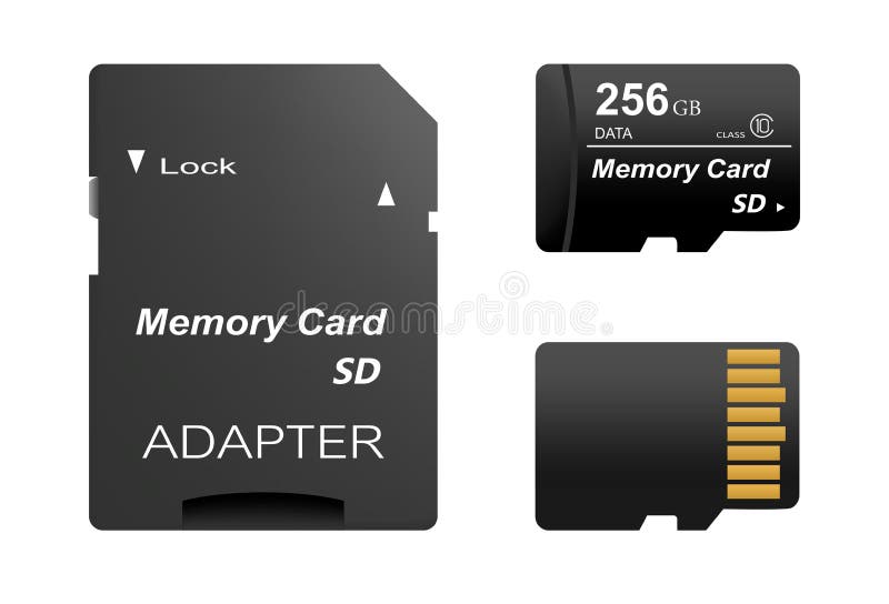 Set of black standard 256 gb digital sd memory cards front and back with gold contact with adapter for sd card on a white backgrou royalty free illustration Set of black standard 256 gb digital sd memory cards front and back with gold contact with adapter for sd card on a white backgrou royalty free illustration