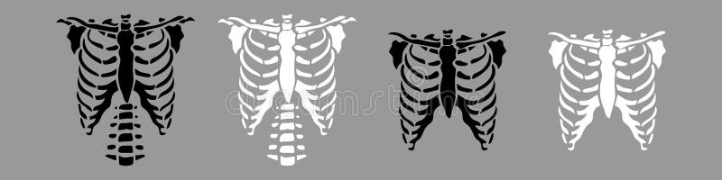 White Chest Bone. T-shirt Print For Horror Or Halloween. Hand Drawing  Illustration Isolated On Black Background. Royalty Free SVG, Cliparts,  Vectors, and Stock Illustration. Image 174540870.