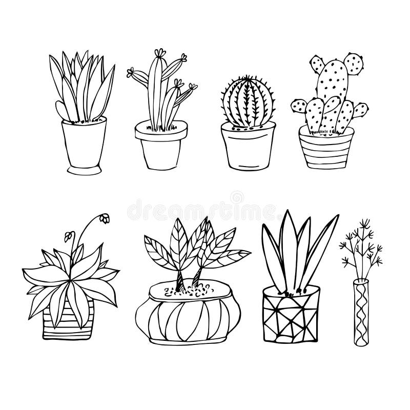 Set of Black and White Sketch House Plants Isolated on White Background ...