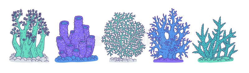 Set blue corals different forms. Vector coralline reef ocean animals underwater life doodle line isolated illustrations.