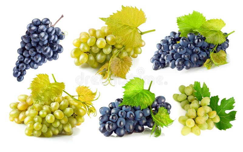 Set blue and green grapes with leaf