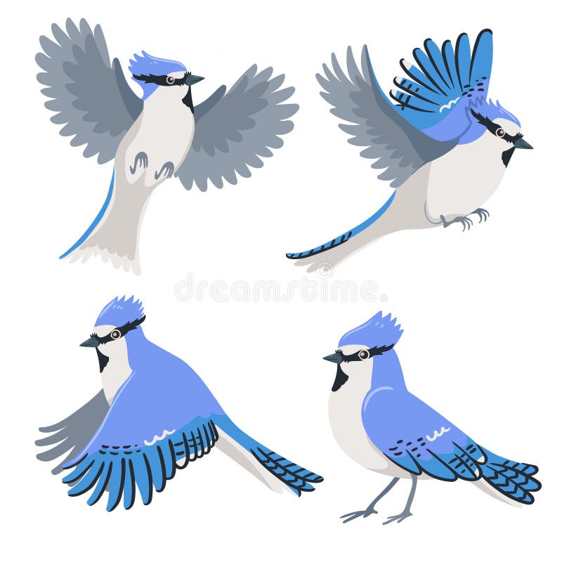 Bluejay Feather Stock Illustrations 54 Bluejay Feather Stock Illustrations Vectors Clipart Dreamstime