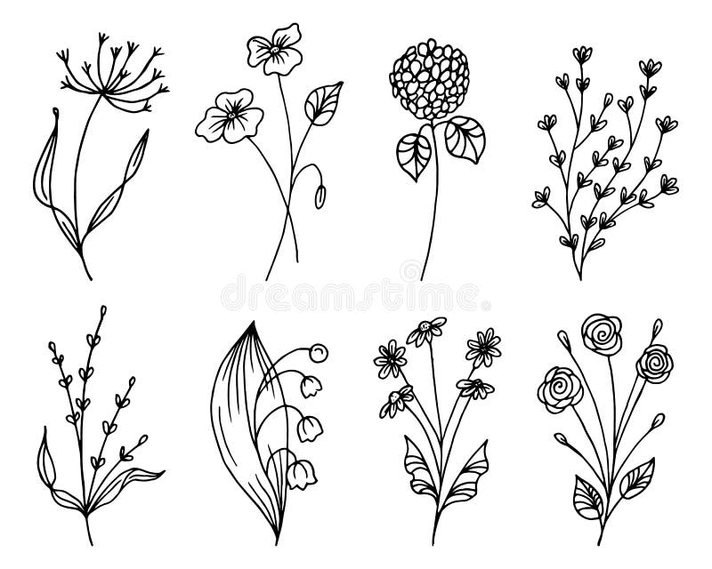 Wildflowers and Fern Coloring Page Set of 4, Printable Forest