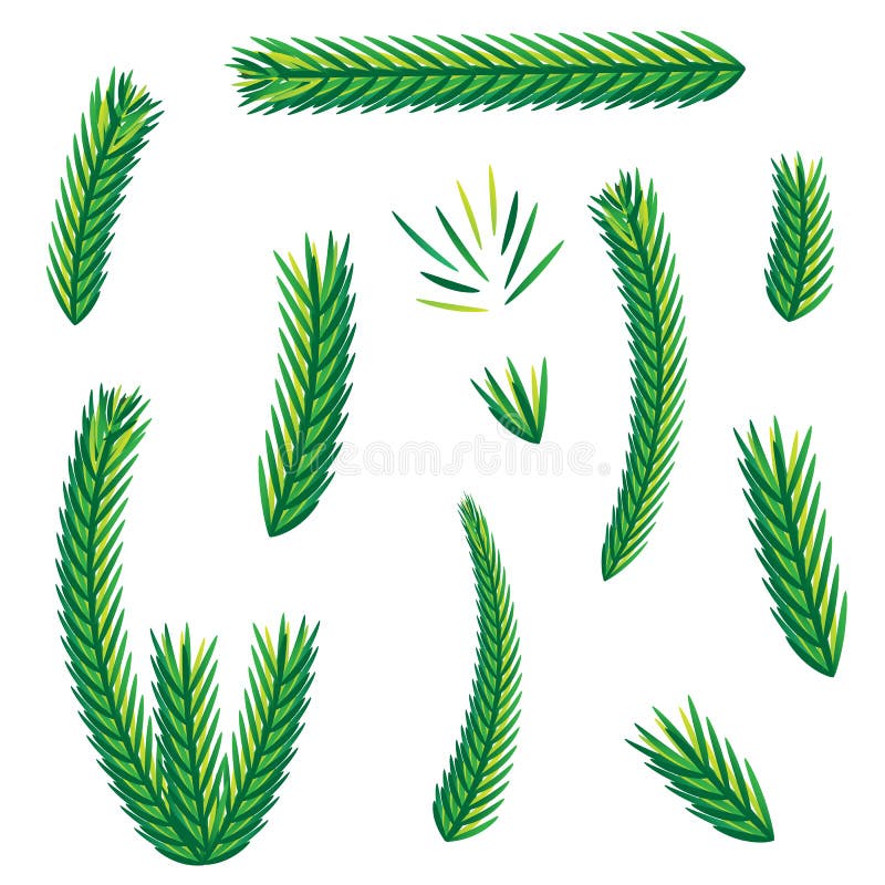 A Set of Branches or Leaves. Christmas Tree, Pine, Winter Stock Vector