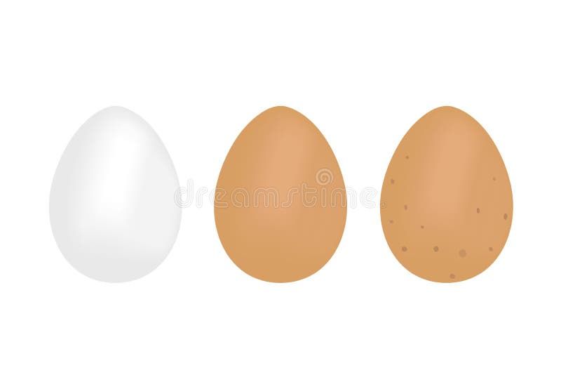 Set of Brown and White Eggs with Shadow. Brown Egg with Dots. Vector