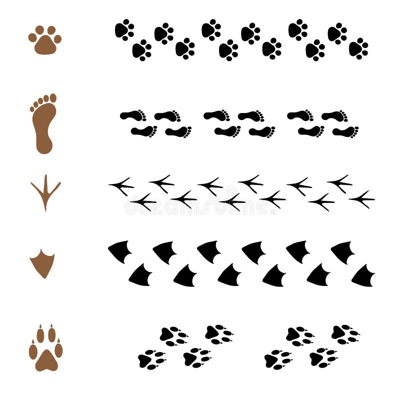 Set Of Brushes In The Form Of Animal Tracks Stock Vector ...