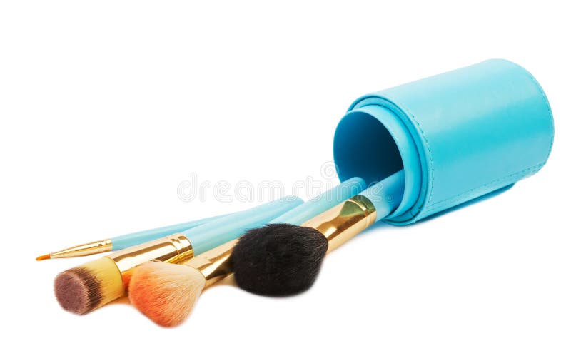 A set of brushes for makeup