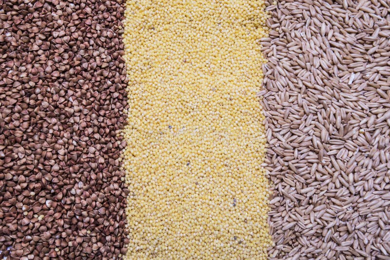 Set of Buckwheat, Millet, Oat Background Stock Photo Image of oats
