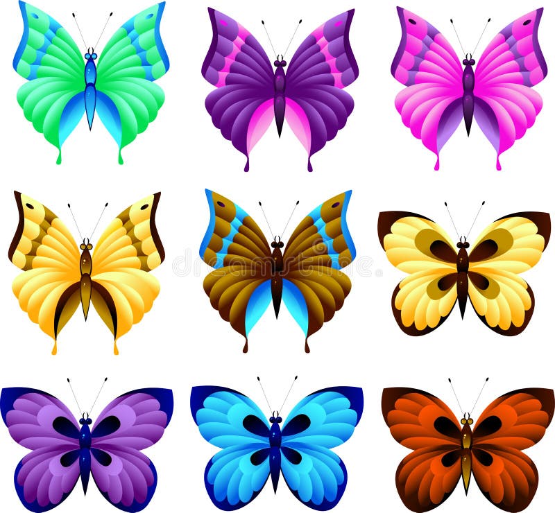 Set of butterfly vector illustration