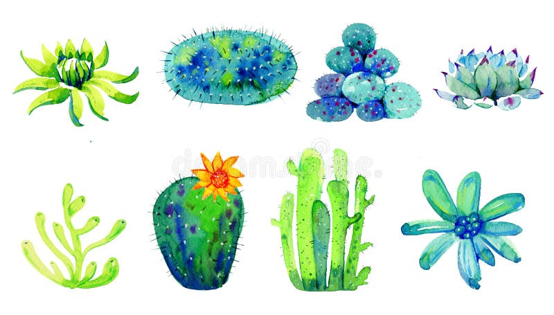 Set of cactuses and succulents. Watercolor hand drawn color sketch illustration isolated on white background. Set of cactuses and succulents. Watercolor hand drawn color sketch illustration isolated on white background