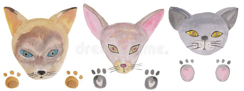 Set of cartoon cat sphinx, siamese and british cat portraits. watercolor illustration for prints, design