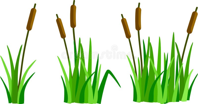 A set of cartoon grass, reeds and canes