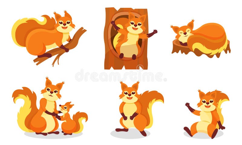 Set of Cartoon Orange Squirrels. Vector Illustration on a White Background. Stock Vector - Illustration of baby, smile: 163929891 Set of Cartoon Orange Squirrels. Vector Illustration on a White Background. Stock Vector - Illustration of baby, smile: 163929891