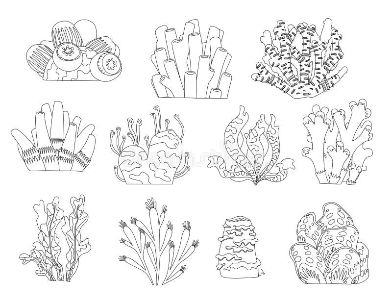 Set of Cartoon Underwater Plants and Creatures. Vector Isolated Corals ...