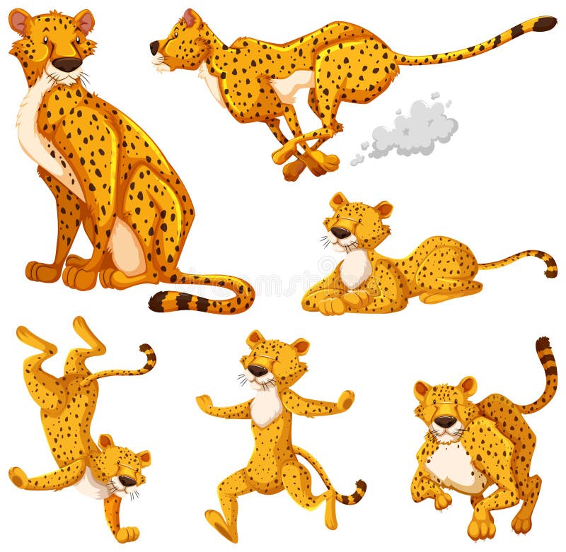 Set of Cheetah Cartoon Character Stock Vector - Illustration of cartoon,  drawing: 184196829