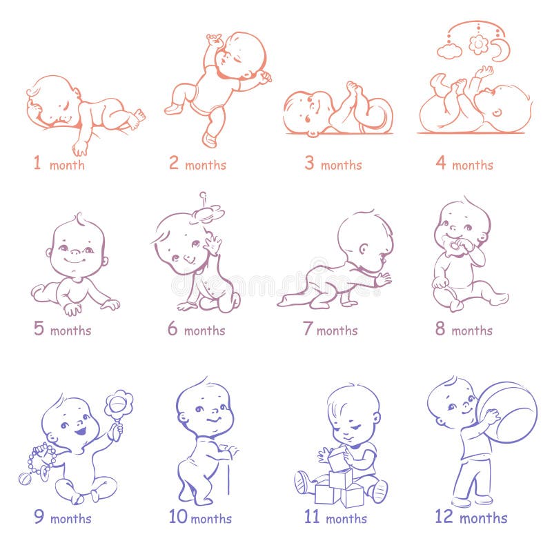 Baby Growth Development Stock Illustrations – 2,864 Baby Growth ...