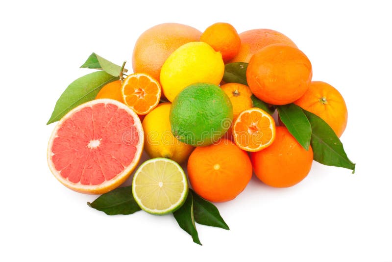 Set of citrus fruits