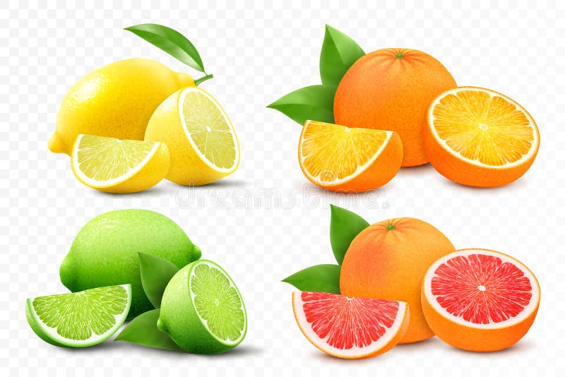 Set of citrus lemon, mandarin, lime, orange, grapefruit - whole, cut half and slices. Fresh sour citrus fruit with vitamins.