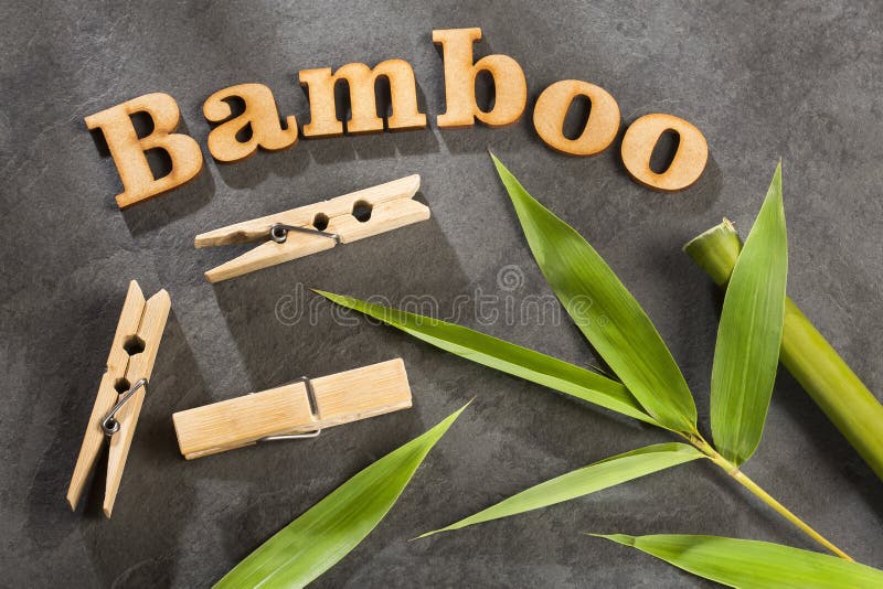 Set Clothespins, Natural Bamboo Peg Stock Image Image of organic