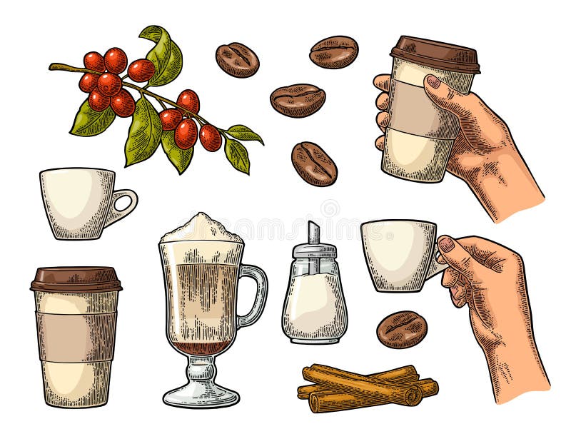 Set coffee. Glass latte, hand hold cup. Branch with beans vector illustration Set coffee. Glass latte, hand hold cup. Branch with beans vector illustration