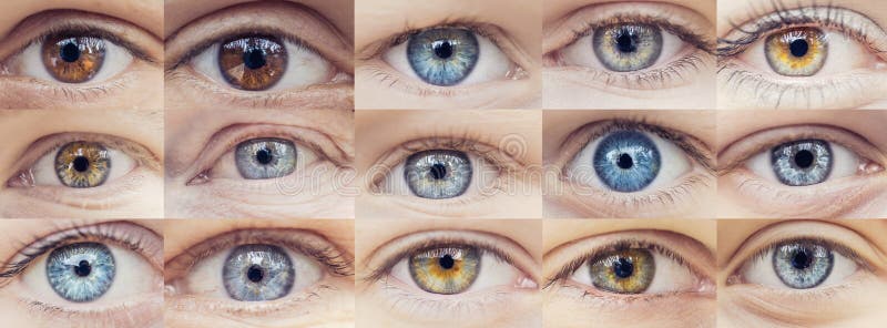 Set Collage of People Eyes are Blue and Brown Color Stock Photo - Image of eyelid, eyeball ...