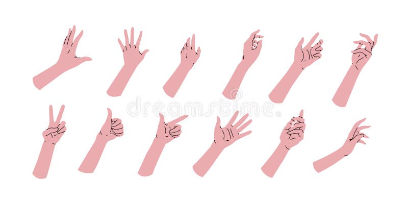 Set Collection of Cartoon Hands. Different Set Positions. Angles, References  Clipart Template Stock Vector - Illustration of together, simplicity:  236600666