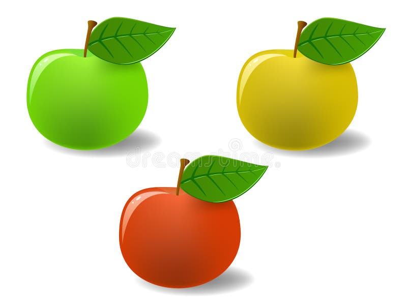 Set colored apples with leaf