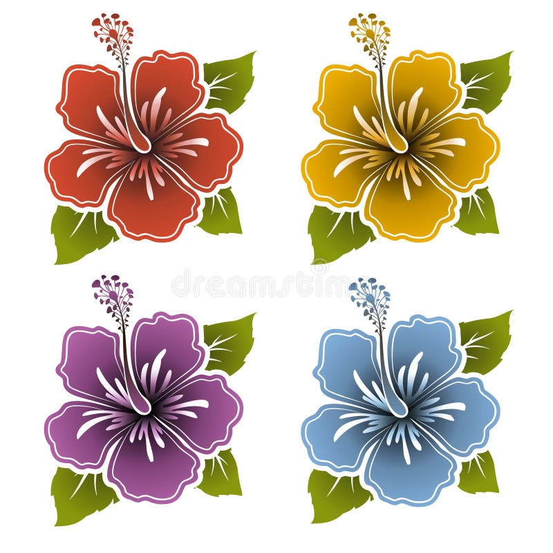 Set of Colored Hibiscus Flowers with Leaves. Vector Illustration Stock