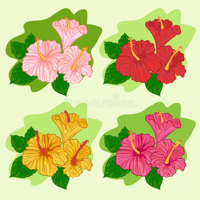 Set of colored hibiscus