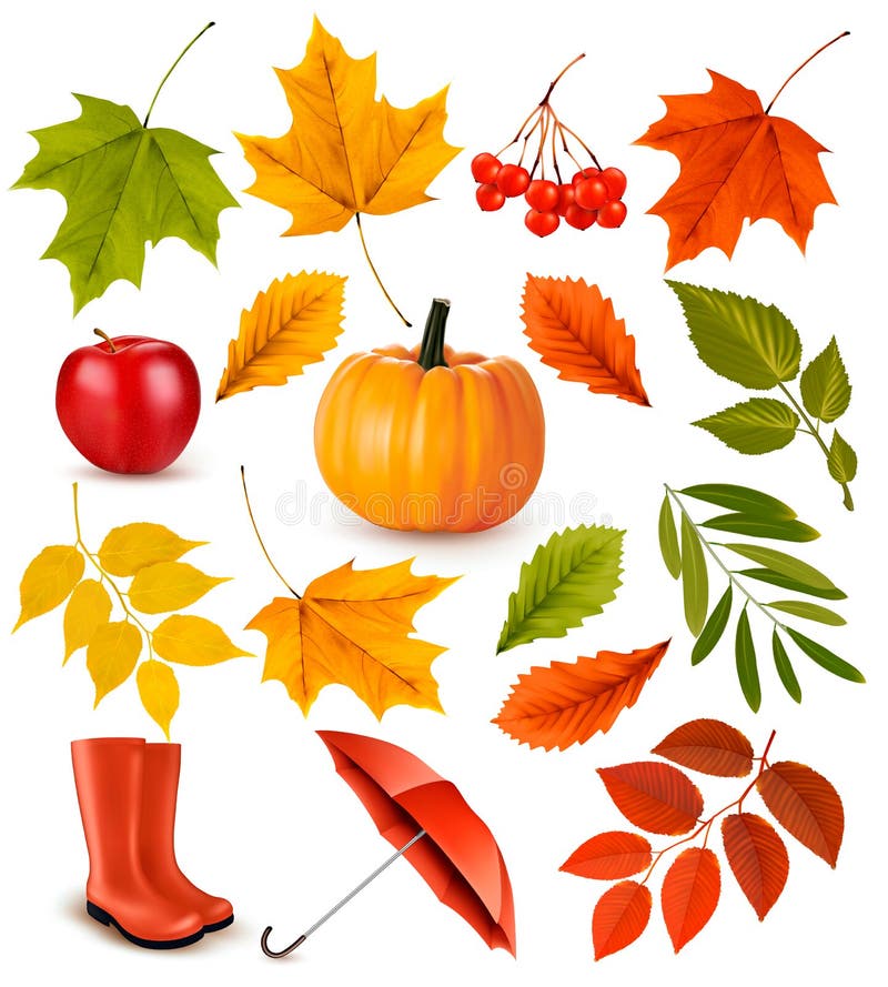 Set of colorful autumn leaves and objects.