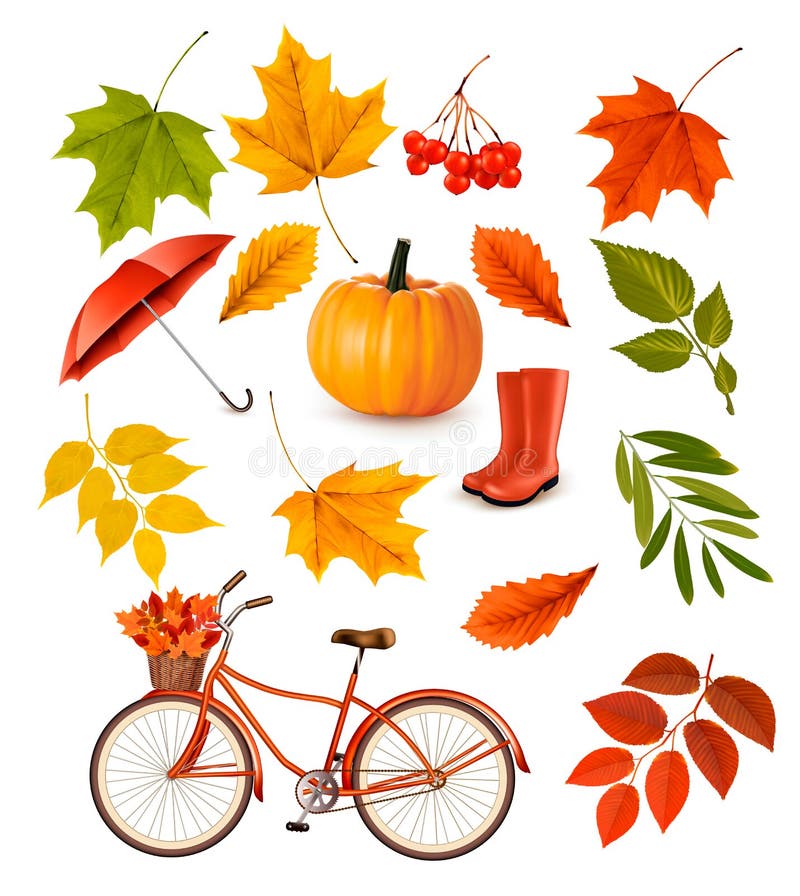 Set of colorful autumn leaves and objects.