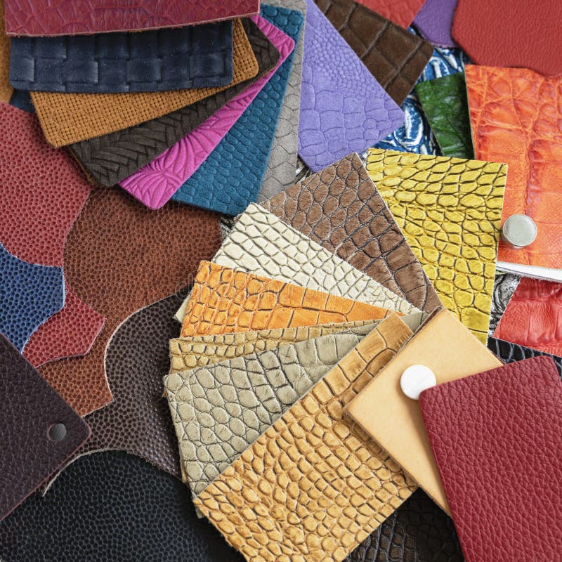 Variety Of Leather Samples Of Different Textures And Colors, Color ...