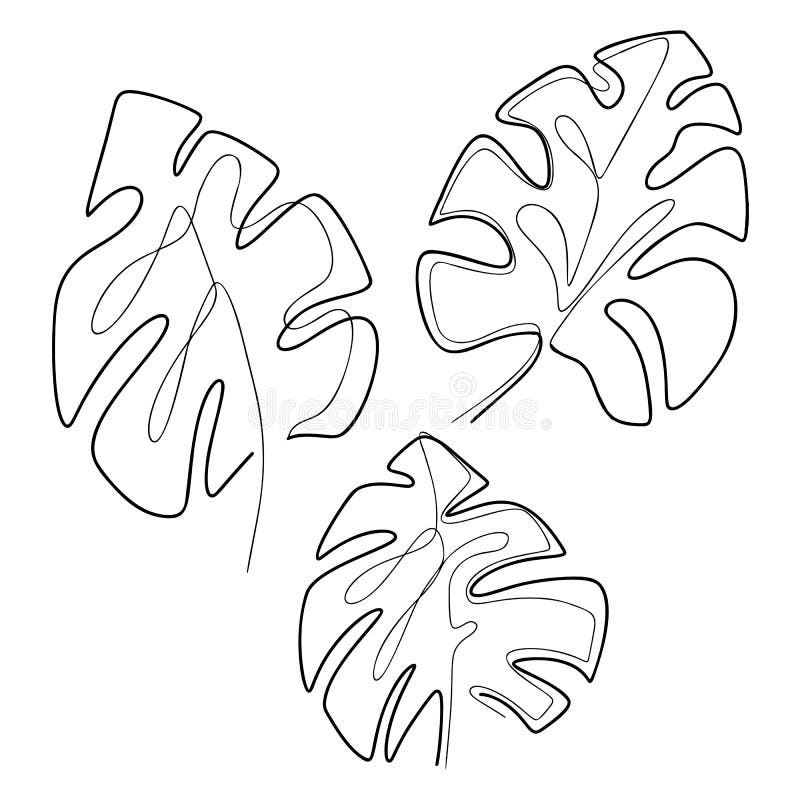 Set of Contour Illustration of Monstera Leaves. Tropical Flora. Monoline  Picture Stock Vector - Illustration of fashion, botanic: 208571116