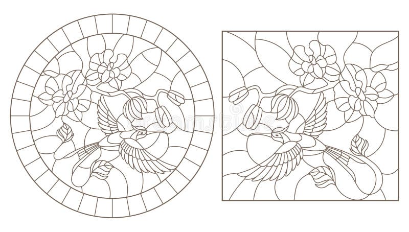 Contour set with illustrations of stained glass Windows with Hummingbird and orchids, round and rectangular images vector illustration