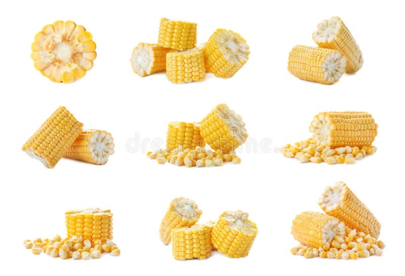 Piece of corn cob isolated stock photo. Image of isolated - 188947514