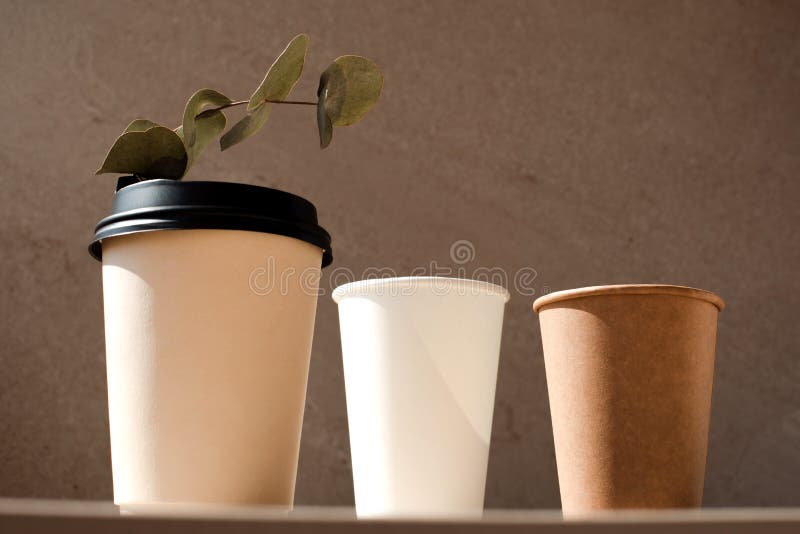 A Set of Cups Made of with Eucalyptus Branches