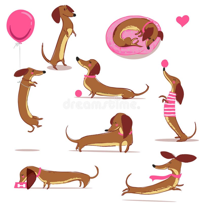 dachshund cartoon clipart