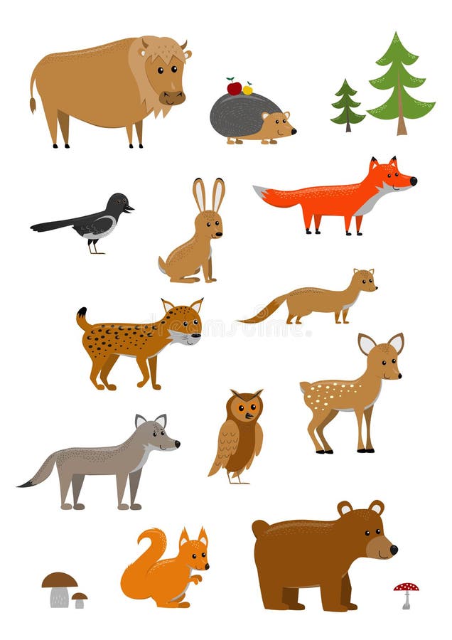 Forest Animals Funny Cartoon Seamless Pattern with Bear, Fox, Squirrel ...