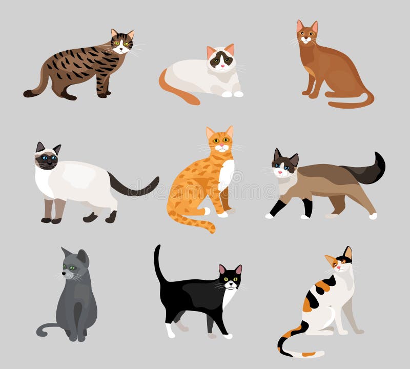 icons for you  Cute cats, Baby cats, Cute cat wallpaper