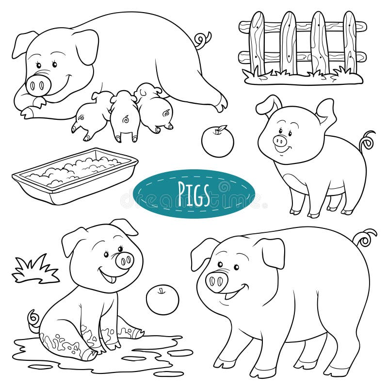 Set of cute farm animals and objects, vector family pigs