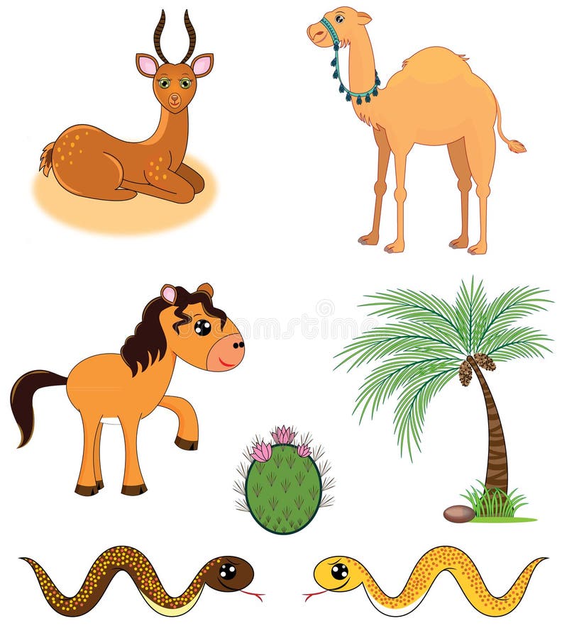 all about rare animals | unique animals and more....: Cartoon Desert