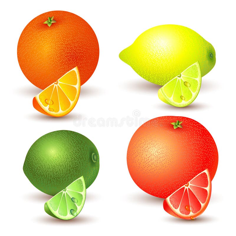 Set cytrus owoc