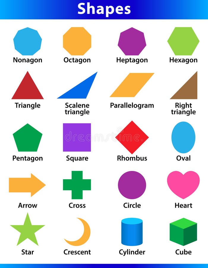 Premium Vector  Set 3d shapes vocabulary in english with their