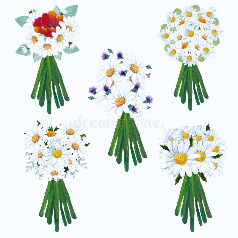 Set of 5 Daisy Wedding Bouquet Illustration Stock Illustration