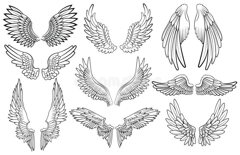 Set de aripi înger. colecția de aripi cu pene. ilustrare vectorială alb-negru. tatuaj. vector illustration