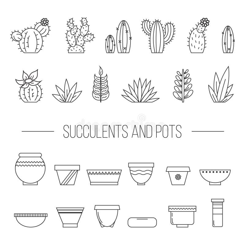 Set de capturi de plante suculente și elemente vectori botanici potenți. royalty free illustration