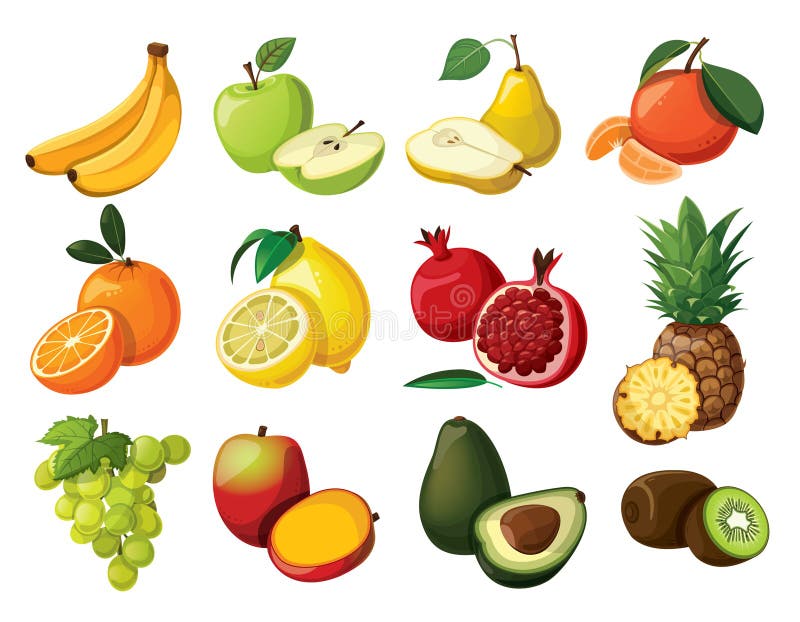 Set de fructe vector illustration