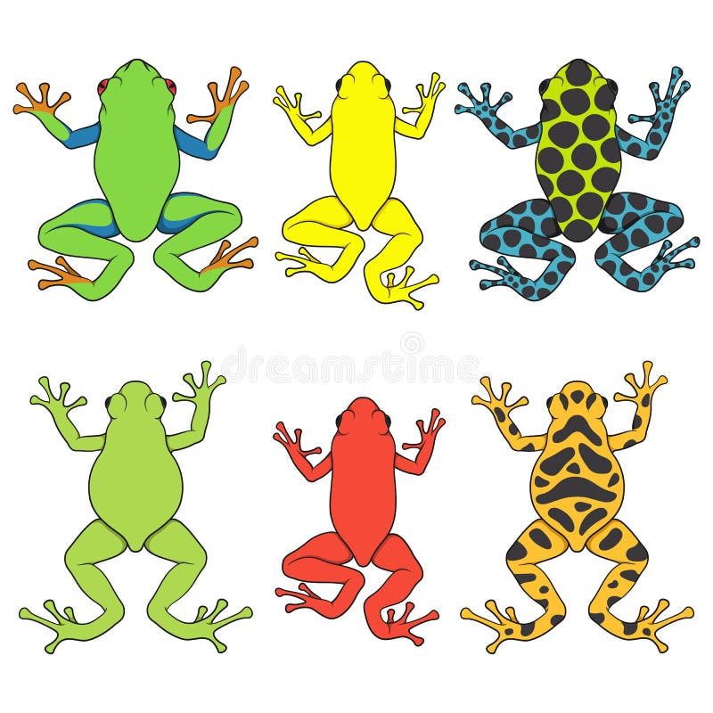 Set de ilustrații color cu broaște tropicale. obiecte vectoriale izolate. royalty free illustration