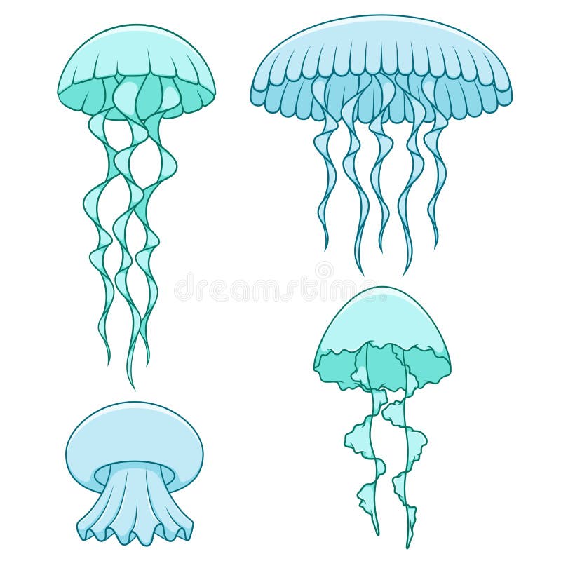 Set de ilustrații color cu meduze. obiecte vectoriale izolate. vector illustration