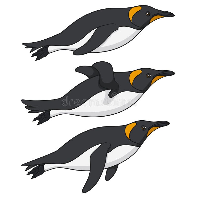 Set de ilustrații color cu pinguini care înoată în apă. obiecte vectoriale izolate. stock illustration